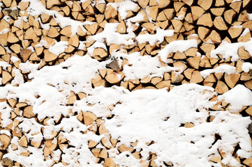 pile of wood in the snow