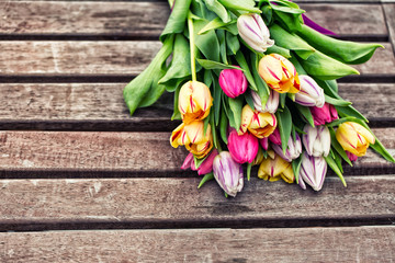 Tulpen