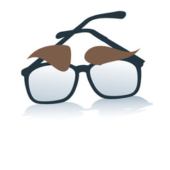 glasses with eyebrows, identity, symbol,business