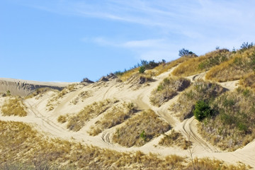 dunes texture