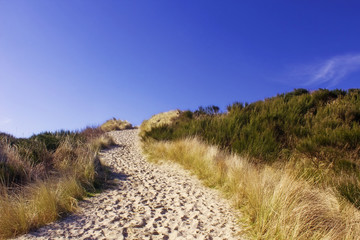 dunes way