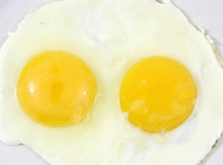 eggs - omlette