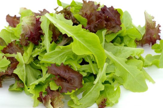 salade verte