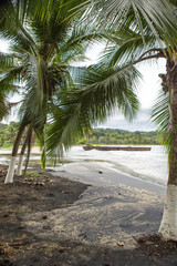 Obraz premium Empty beach in Puerto Viejo, Costa Rica
