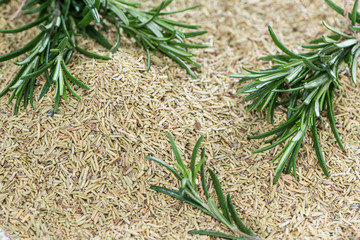 Heap of dried Rosemary