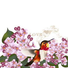 Beautiful vector  pattern with lilac flowers and hummingbird