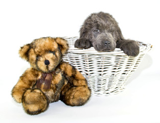 I Have My Eye On You