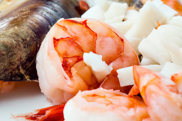 Seafood isolated. Shrimps, octopus  and squid. © Tim UR