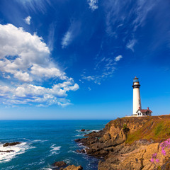 Fototapeta na wymiar Pigeon Point Lighthouse California w Cabrillo Hwy Coastal Hwy 1