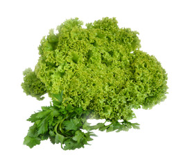 Obraz premium Lettuce leaves and parsley