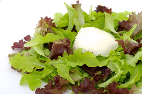 salade verte et mozzarella