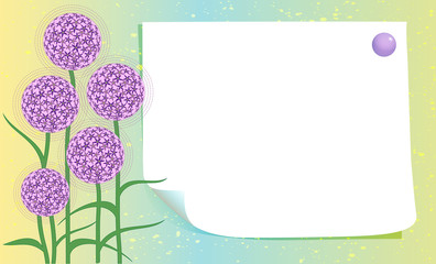 blank card with allium flowers