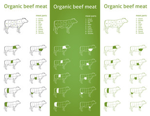 Organic Beef meat parts Icons for packaging and info-graphic 2