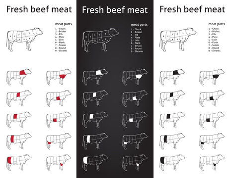 Farm Beef meat parts Icons for packaging and info-graphic 1