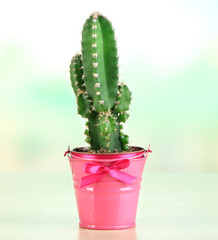 Beautiful cactus in bright pail on wooden table