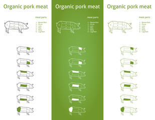 Organic Pork meat parts Icons for packaging and info-graphic 2 - 61102859