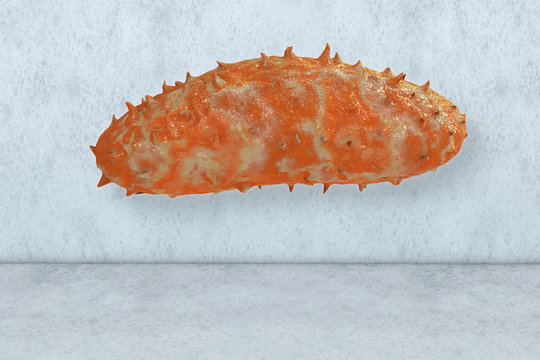 Rabiesvirus - 3d Render