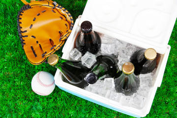 Ice chest full of drinks in bottles on grass background