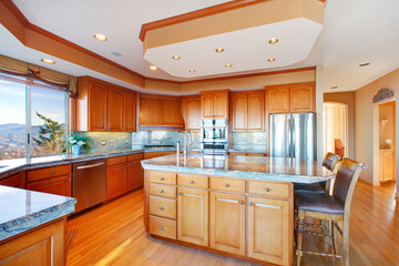 Luxuriant kitchen design