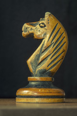 vintage chess knight © Yury Zap