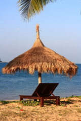 coconut tree on the beach umbrella