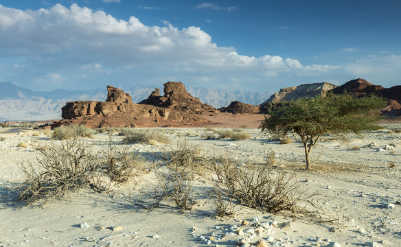Monument of desert