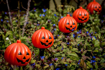 Halloween Pumpkin Decorations - 61108411