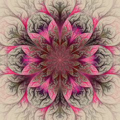 Beautiful fractal flower in red, pink and gray. Computer generat