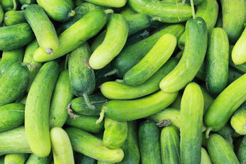 Fresh cucumber in the market