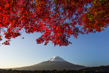Mount Fuji with red autumn leaf. Japan