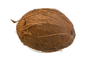 Coconut