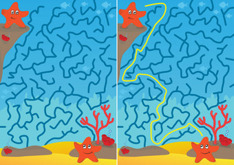 Starfish Maze