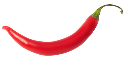 illustration with red hot chilli pepper on white
