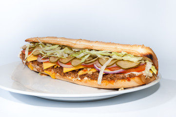 sandwich isolated on white background