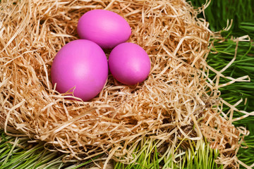 Fototapeta na wymiar Easter eggs on the nace