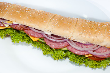 sandwich isolated on white background