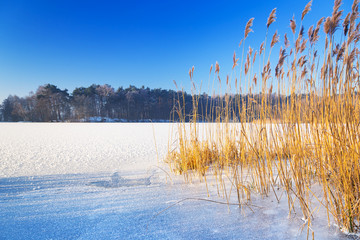 Winter scenery of frozen lake in Poland