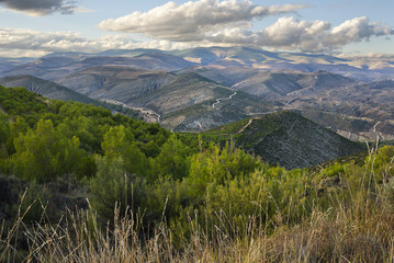 Sierra Atalaya Vieja en Soria