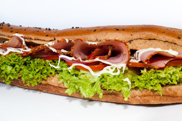 sandwich isolated on white background