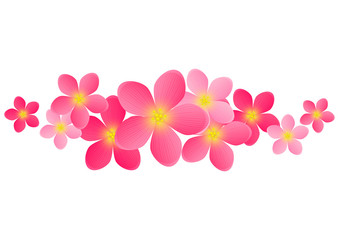 Floral border for Your design