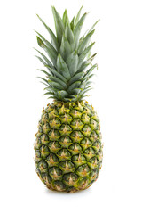 Fototapeta premium Ananas
