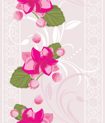 Ornamental background with white lace and pink flowers