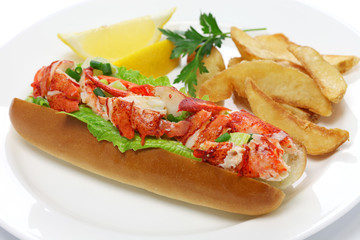 lobster roll sandwich, american food