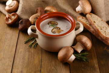 Fototapeta na wymiar Composition with mushroom soup in pot, fresh and dried