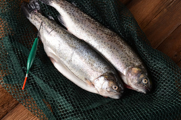 Fresh trout