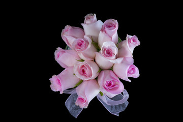 Pink Roses From Above