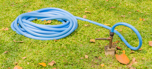 rubber tube water on  green grass