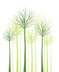 Obraz premium trees