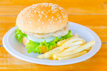 Hamburger and french fries , fast food