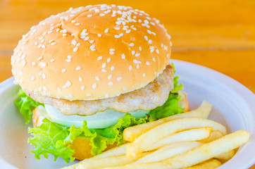 Hamburger and french fries , fast food